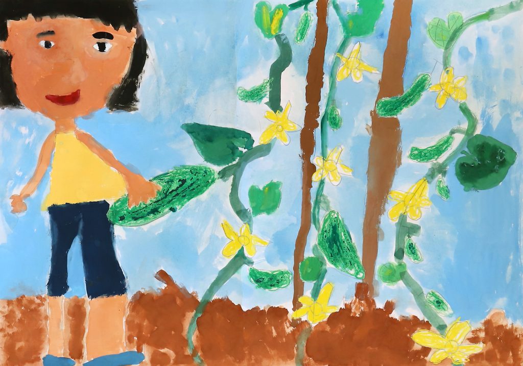 「きゅうりの収穫」一ノ木戸小学校　１年　本間　あかり